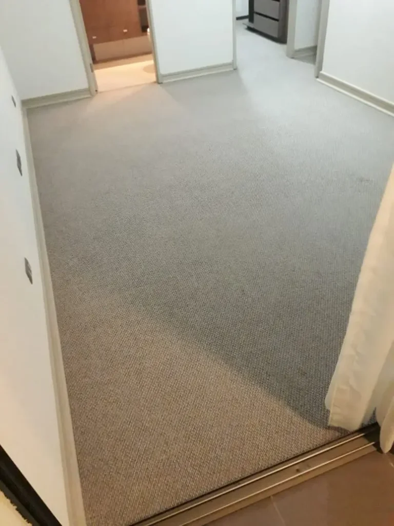 Alfombra limpiada por empresa Aseo integral y desinfección